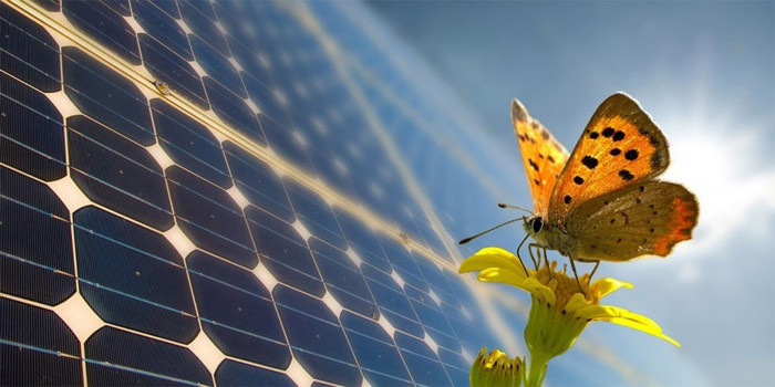 Dotácie na obnoviteľné zdroje energie 2015