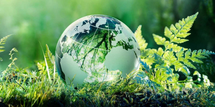 Zelená domácnostiam 2020 prináša aj zmeny v systéme!